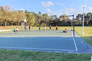 18953 Wood Sage Dr, Tampa, FL 33647 - Photo 34