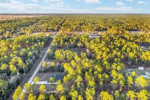 8725 SW 136th Terrace, Dunnellon, FL 34432 - Photo 78