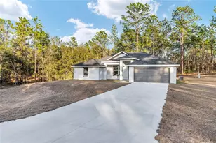 8725 SW 136th Terrace, Dunnellon, FL 34432 - Photo 10