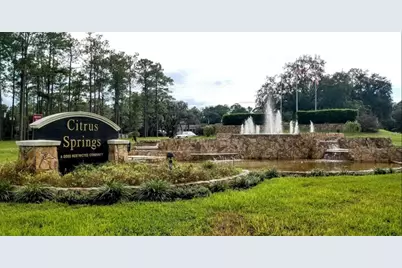 8781 N Quarry Drive, Citrus Springs, FL 34434 - Photo 18