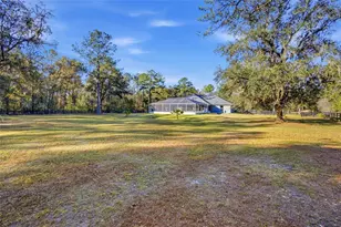 14377 NW 141st Ave, Williston, FL 32696 - Photo 58