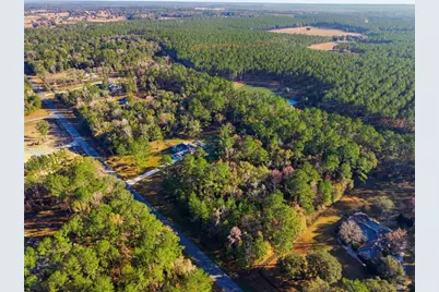 14377 NW 141st Avenue, Williston, FL 32696 - Photo 22