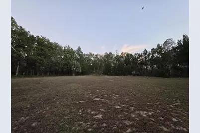 36014 Lake Unity Nursery Road, Fruitland Park, FL 34731 - Photo 40