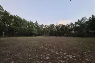 36014 Lake Unity Nursery Rd, Fruitland Park, FL 34731 - Photo 40