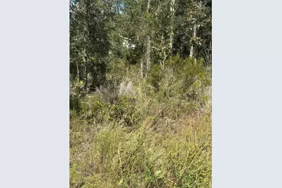 Ne 66th Street, Bronson, FL 32621 - Photo 8