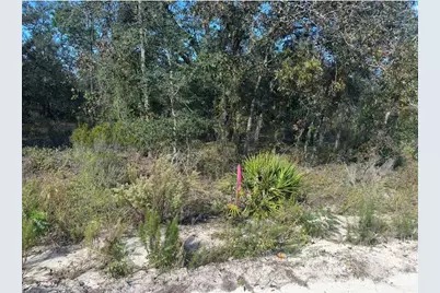 Ne 66th Street, Bronson, FL 32621 - Photo 14