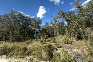 NE 66th St, Bronson, FL 32621 - Photo 1