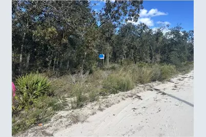 Ne 66th Street, Bronson, FL 32621 - Photo 10