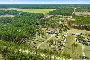 5130 SE 137 Ave, Morriston, FL 32668 - Photo 44