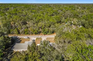 3480 E Theo Ln, Inverness, FL 34453 - Photo 40