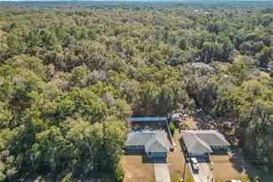 3480 E Theo Ln, Inverness, FL 34453 - Photo 4