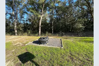 8291 N Downer Way, Dunnellon, FL 34434 - Photo 34