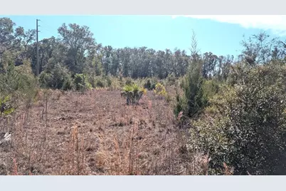 13550 NW Old Fannin Road, Chiefland, FL 32626 - Photo 10