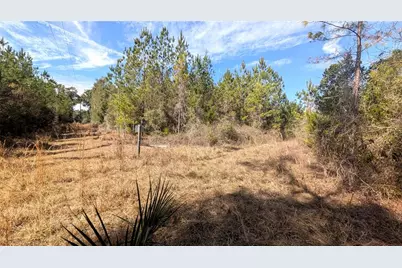 13550 NW Old Fannin Road, Chiefland, FL 32626 - Photo 12