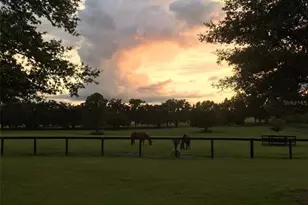 9549 NW 80th Ave, Ocala, FL 34482 - Photo 52