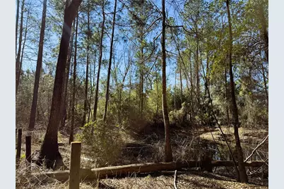 7400 NE 199th Street Road, Citra, FL 32113 - Photo 20