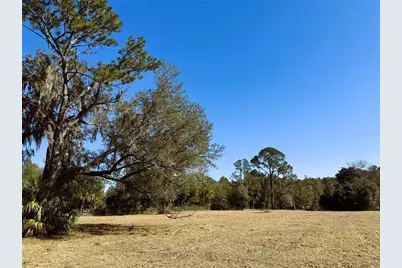 7400 NE 199th Street Road, Citra, FL 32113 - Photo 8