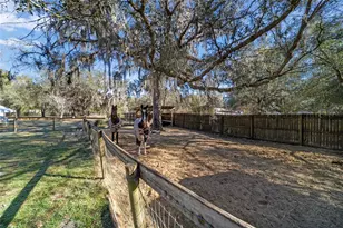 1572 N Hwy 314 A, Silver Springs, FL 34488 - Photo 52