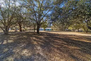 1572 N Hwy 314 A, Silver Springs, FL 34488 - Photo 64