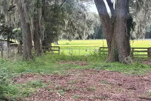 2051 SE 155th St, Summerfield, FL 34491 - Photo 1