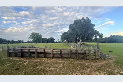 2051 SE 155th Street, Summerfield, FL 34491 - Photo 6