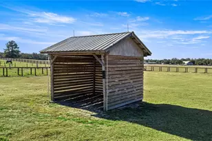 1351 SE 196 Ct, Morriston, FL 32668 - Photo 64