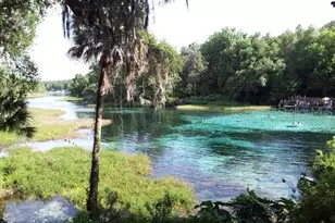10377 SW 186th Ave, Dunnellon, FL 34432 - Photo 2