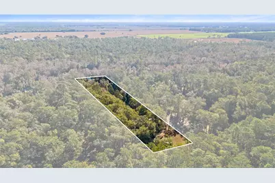 10377 SW 186th Avenue, Dunnellon, FL 34432 - Photo 4