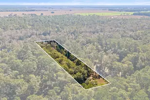 10377 SW 186th Ave, Dunnellon, FL 34432 - Photo 4
