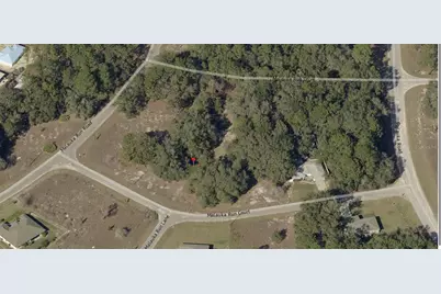 Tbd Malauka Run Court, Ocklawaha, FL 32179 - Photo 2