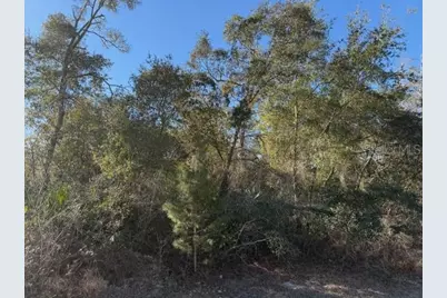 Tbd SW 158th Street Road, Ocala, FL 34473 - Photo 2