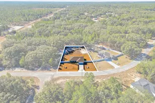 14 Fisher Way Trce, Ocklawaha, FL 32179 - Photo 42