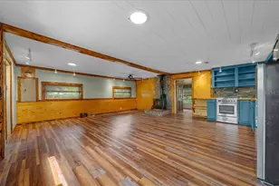 25094 NE 132nd Ln, Salt Springs, FL 32134 - Photo 10