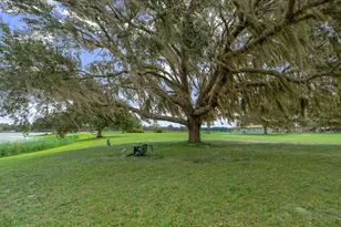 25094 NE 132nd Ln, Salt Springs, FL 32134 - Photo 70