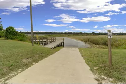 25094 NE 132nd Lane, Salt Springs, FL 32134 - Photo 82