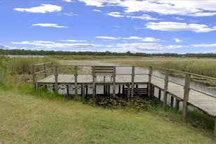 25094 NE 132nd Ln, Salt Springs, FL 32134 - Photo 80