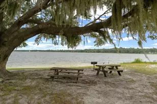 25094 NE 132nd Ln, Salt Springs, FL 32134 - Photo 76