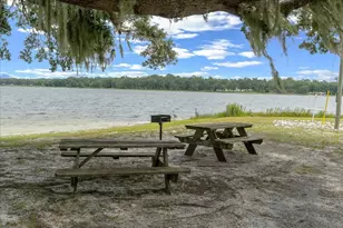 25094 NE 132nd Ln, Salt Springs, FL 32134 - Photo 74