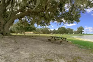 25094 NE 132nd Ln, Salt Springs, FL 32134 - Photo 78