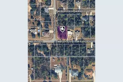 3153 W Eunice Drive, Dunnellon, FL 34433 - Photo 2