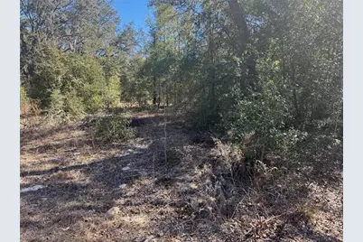 Lots 19-24 NW 16th Place, Ocala, FL 34482 - Photo 6