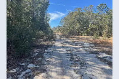 Lots 19-24 NW 16th Place, Ocala, FL 34482 - Photo 4