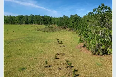 Deen Still Rd E Road E #Lot B-178, Polk City, FL 33868 - Photo 2