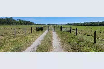 Deen Still Rd E Road E #Lot B-178, Polk City, FL 33868 - Photo 4
