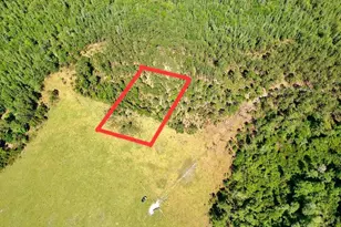 Deen Still Rd E Road E, Polk City, FL 33868 - Photo 1
