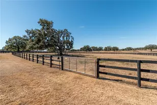 12610 NW Gainesville Rd, Reddick, FL 32686 - Photo 56