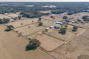 12610 NW Gainesville Rd, Reddick, FL 32686 - Photo 74