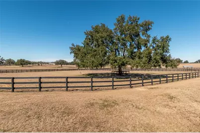 12610 NW Gainesville Road, Reddick, FL 32686 - Photo 66