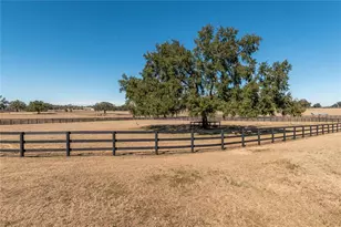 12610 NW Gainesville Rd, Reddick, FL 32686 - Photo 66