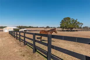 12610 NW Gainesville Rd, Reddick, FL 32686 - Photo 62
